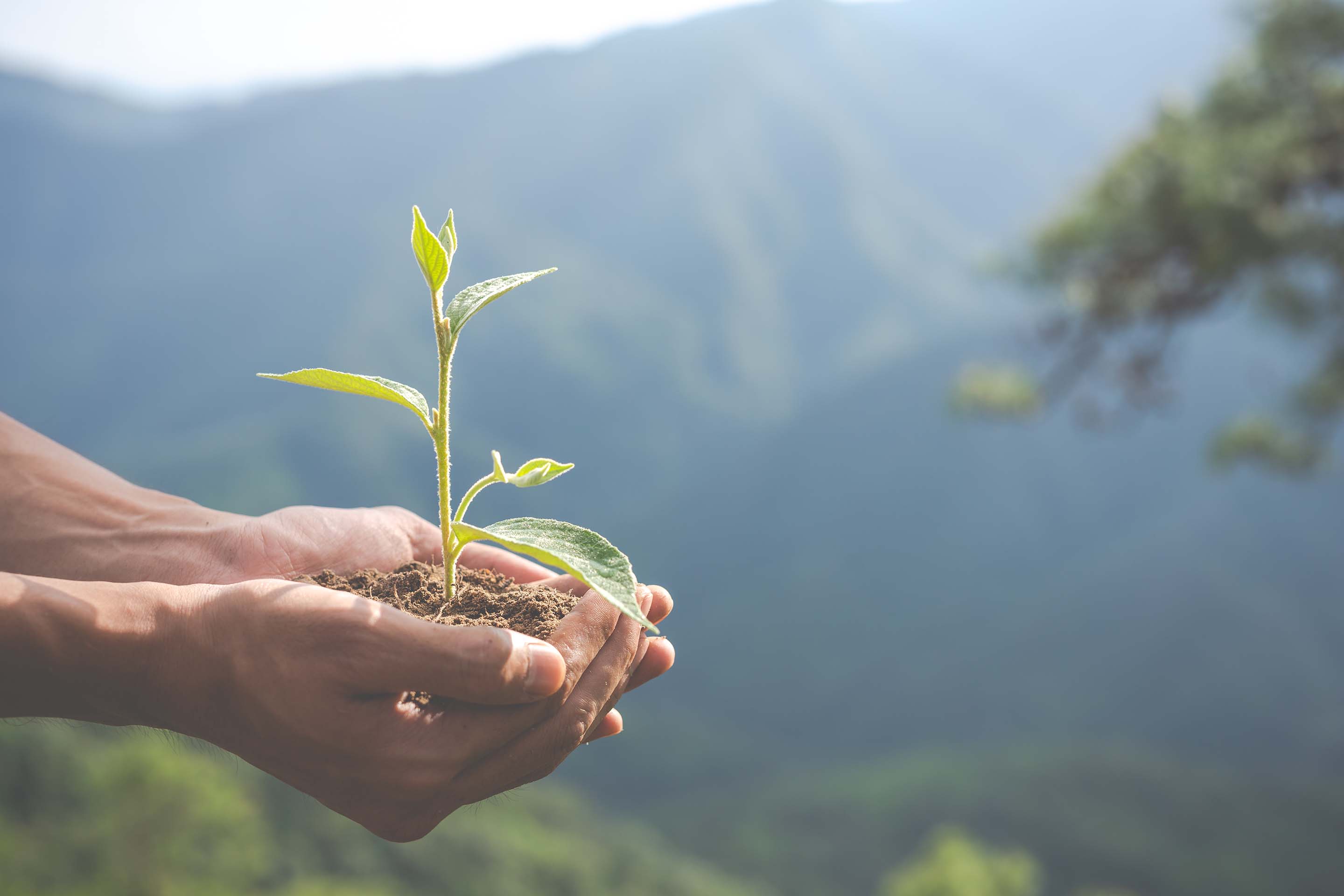 a guy holding some dirt and a plant in his hands